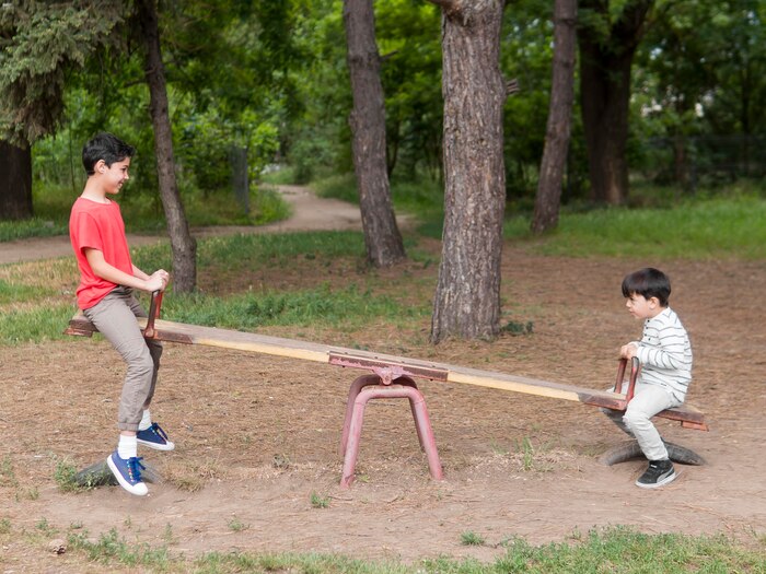 Brothers playing in a seesaw