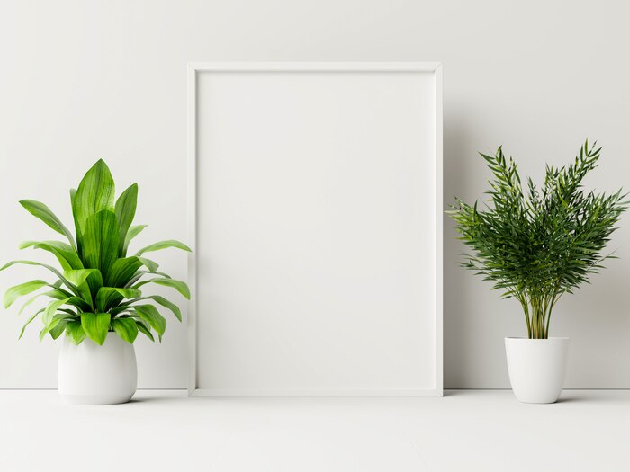 Interior poster mock up with plant pot,flower in room with white wall.